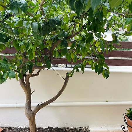 Themarilenehouse Apartmán *